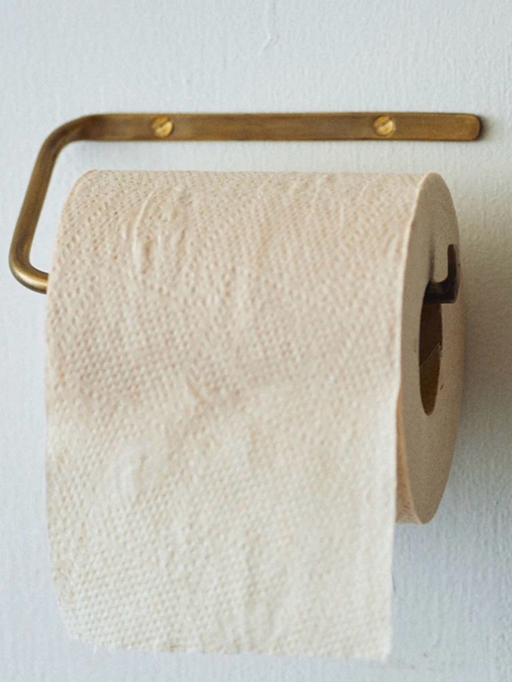 Brass toilet paper holder